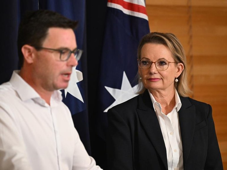 Sussan Ley and David Littleproud agreed on a deal to restore senior Nationals to the front bench. (Lukas Coch/AAP PHOTOS)
