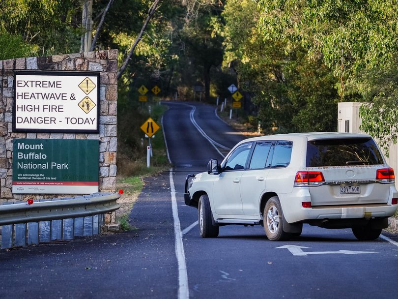 It’s likely Freeman is dead. Picture: NewsWire / Simon Dallinger