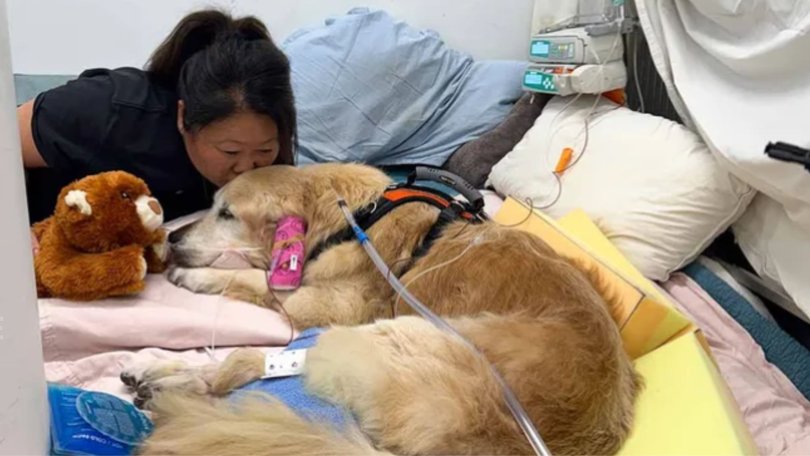 Nagi Maehashi shared what a big impact Dozer had on her life.