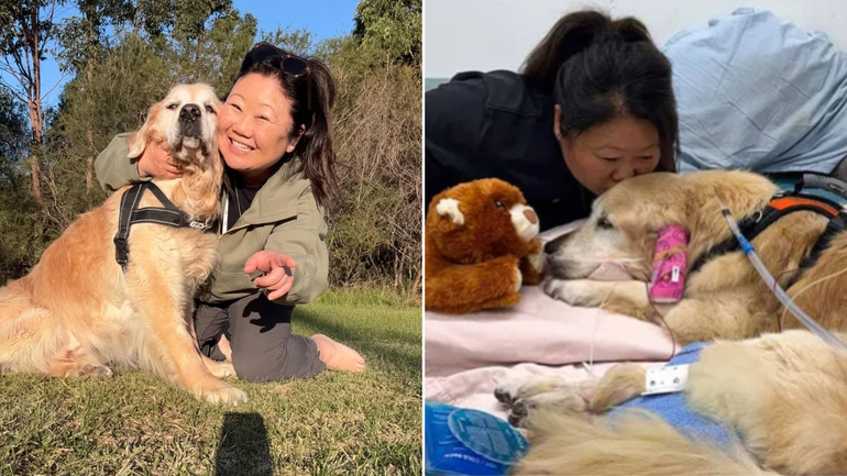 Food blogger Nagi Maehashi has announced the death of her dog Dozer.