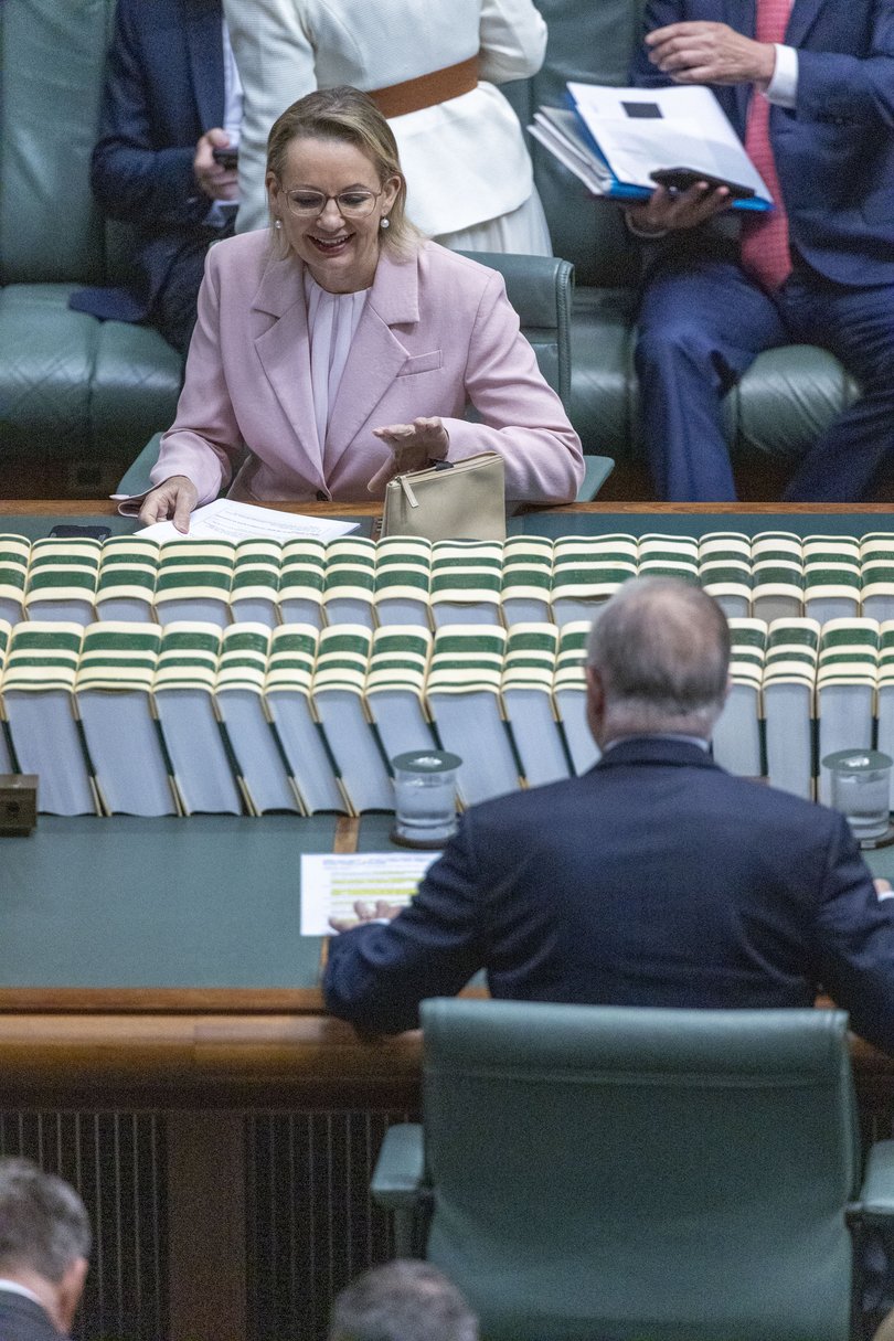 Sussan Ley, Leader of the Opposition with Prime Minister Anthony Albanese during Question Time on Monday.