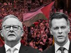 Anthony Albanese and NSW Premier Chris Minns have condemned the Sydney protests.
