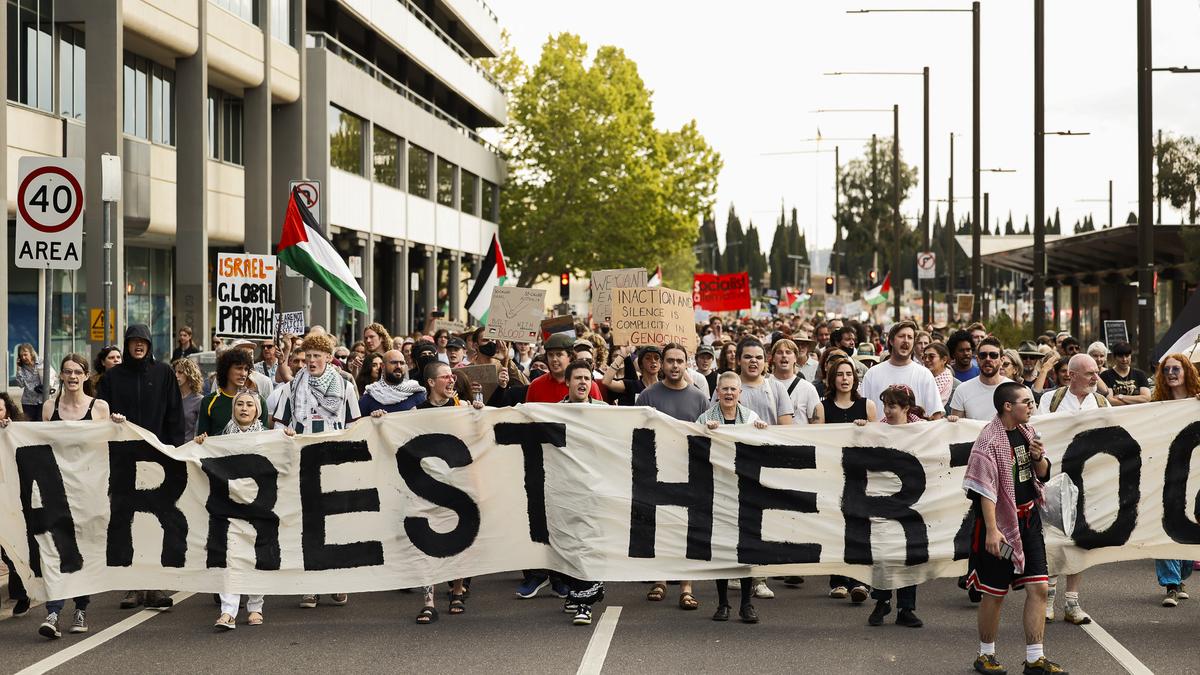 ‘I’m devastated’: Anthony Albanese warns anti-Herzog protesters are undermining their cause
