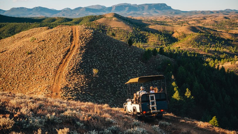 Simple luxury tucked inside a historic homestead.