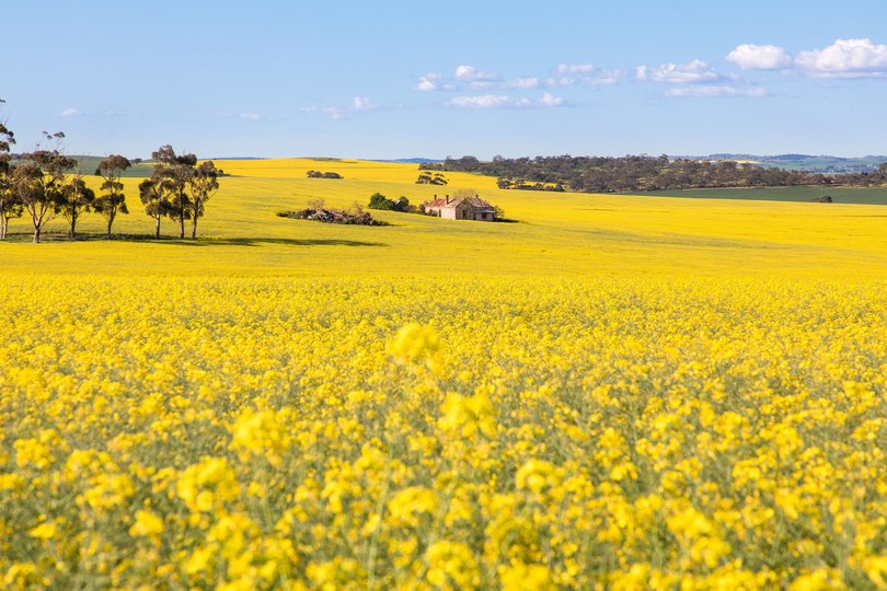 Five hours north and the landscape takes over.