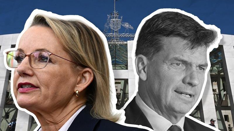 Angus Taylor believes he has the numbers, so does Sussan Ley. 