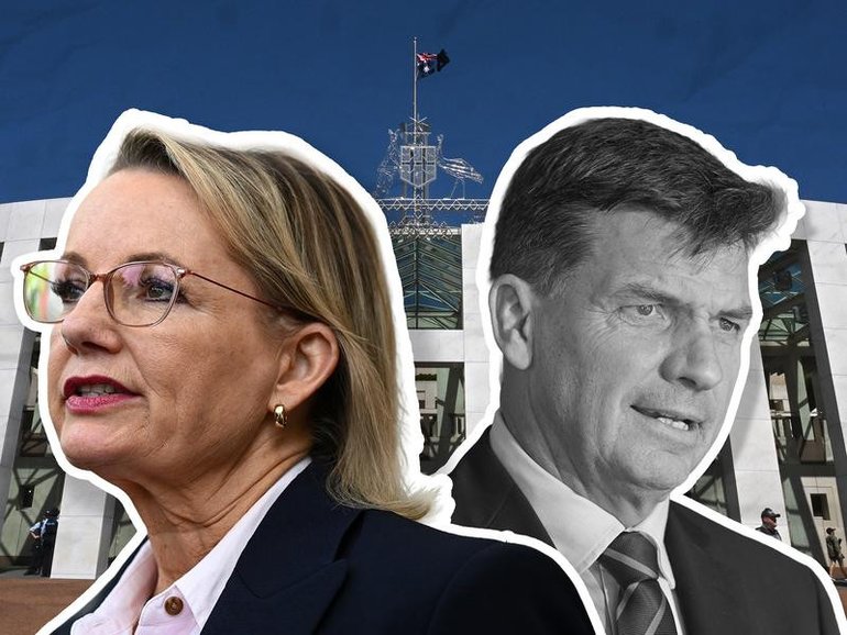 Angus Taylor believes he has the numbers, so does Sussan Ley. 