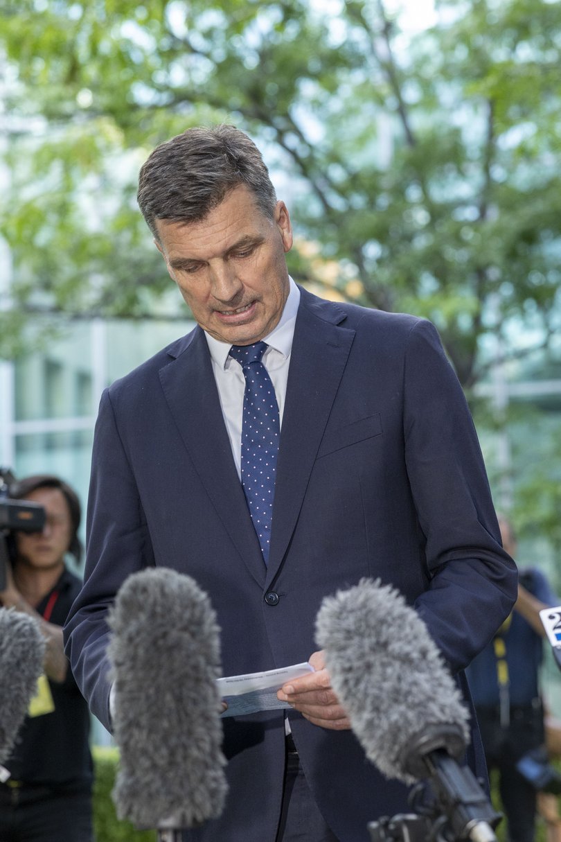 Mr Taylor said he did not believe Ms Ley could not lead the Liberals in the way they needed to be led.