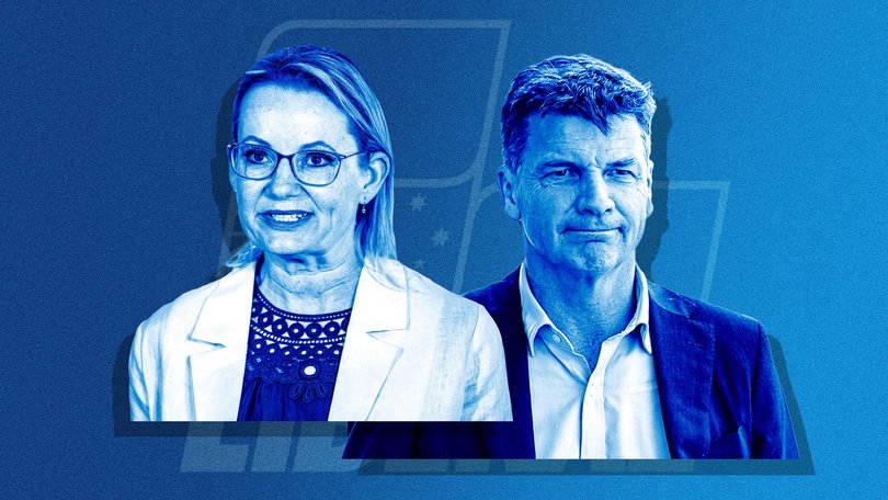 Sussan Ley, Angus Taylor The Nightly