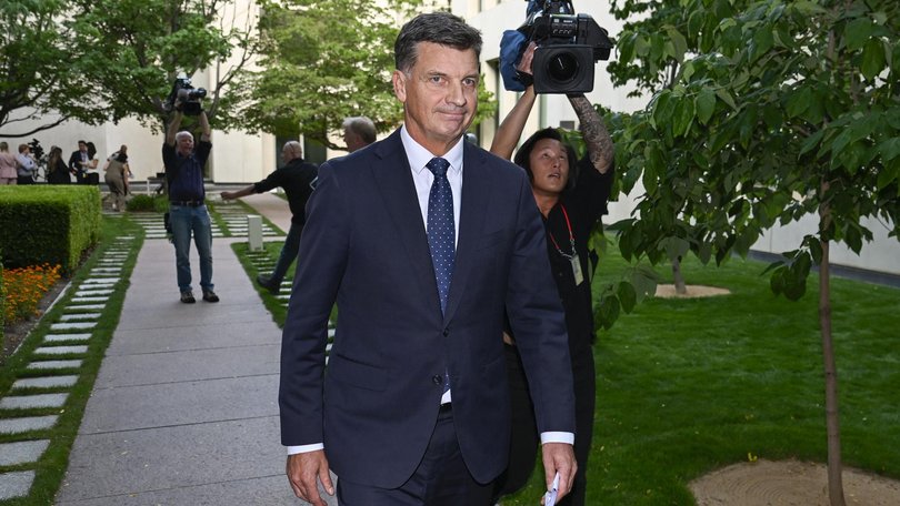 Mr Taylor has served in multiple portfolios both in government and opposition. Picture: NewsWire / Martin Ollman