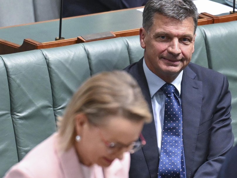 Liberal MP Angus Taylor is expected to challenge for his party’s leadership. Picture: NewsWire / Martin Ollman
