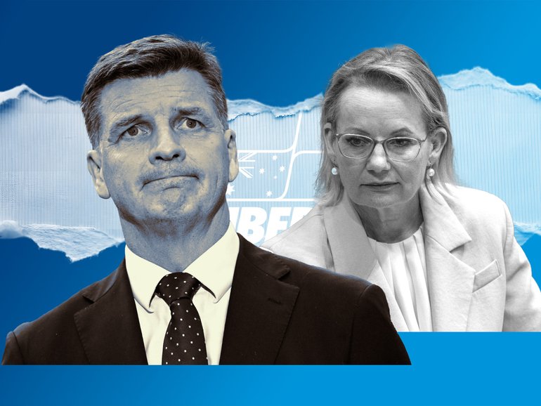 Why should Angus Taylor bother?