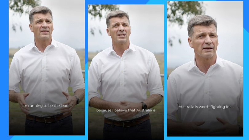 Angus Taylor is running for the Liberal leadership.