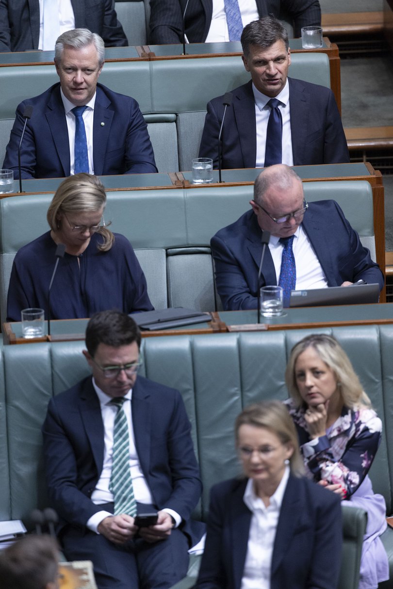 Question Time in the House of Represenrtatives in Parliament House in Canberra. Angus Taylor,  during Question Time in the House of Representatives in Parliament House in Canberra. 