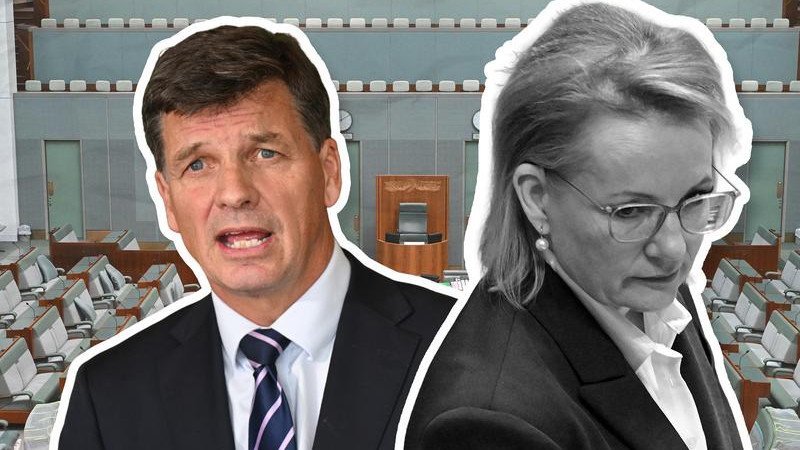 Whether or not Mr Taylor is the solution is a matter for the Liberal party room to judge. But what must be avoided is another round of leadership instability after Friday.