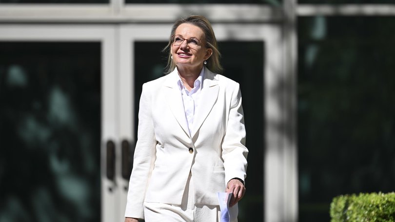 Sussan Ley is quitting politics after losing the Liberal Party leadership. Picture: NewsWire / Martin Ollman