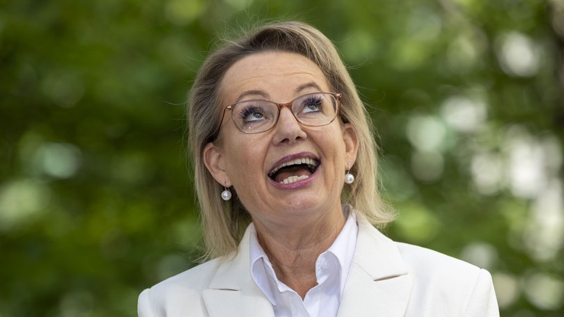 Sussan Ley will receive a parliamentary pension north of $250,000 after quitting politics.