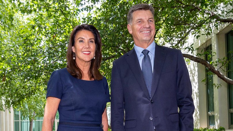 Angus Taylor and Jane Hume will be under immense pressure to stabilise the embattled party.