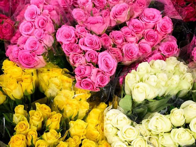 Roses will rate highly with the three million Australians  expected to give a Valentine's Day gift. (Bianca De Marchi/AAP PHOTOS)