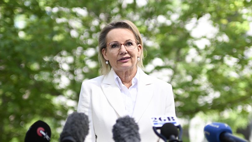 Sussan Ley says she will ‘leave it for others to judge this period of my leadership’. NewsWire / Martin Ollman