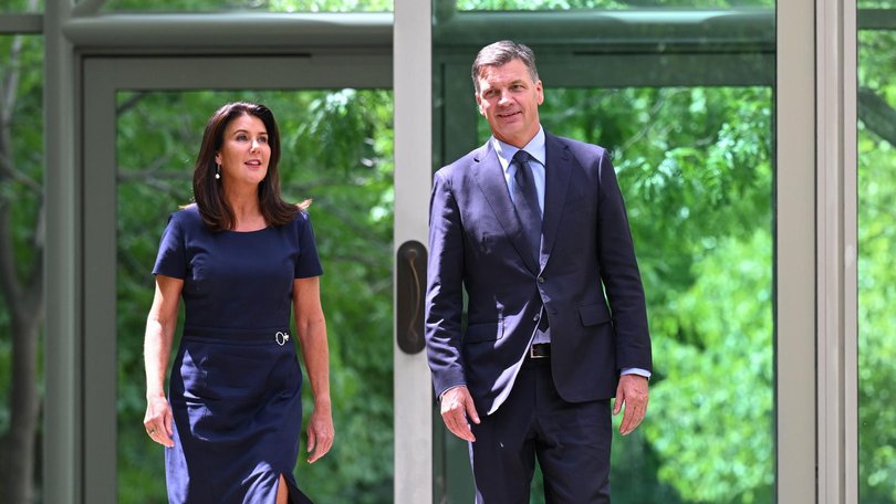 Angus Taylor and Jane Hume pose for a portrait at Parliament House in Canberra. Picture: NewsWire / Martin Ollman