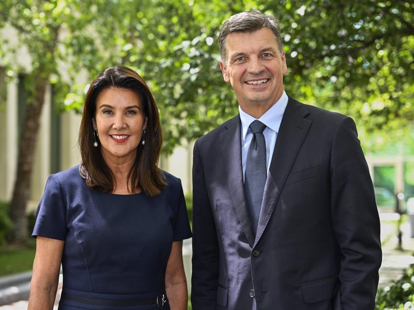 The newly-elected Liberal leader Angus Taylor and his deputy Jane Hume. Picture: NewsWire / Martin Ollman