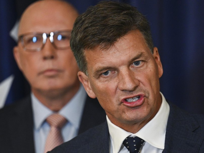 Angus Taylor copped a wave of criticism during the last election.