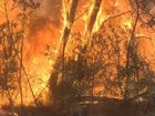 Bushfires devastated parts of Victoria, including the Grampians, last summer. Supplied