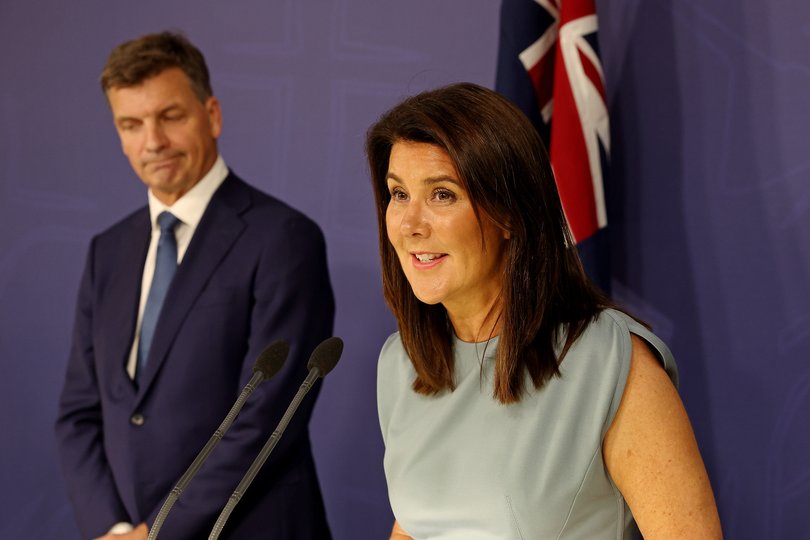 L to R: Opposition Leader Angus Taylor and  Deputy Leader Senator Jane Hume.