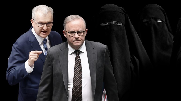 The Albanese government has issued a temporary exclusion order against one Australian woman linked to ISIS.