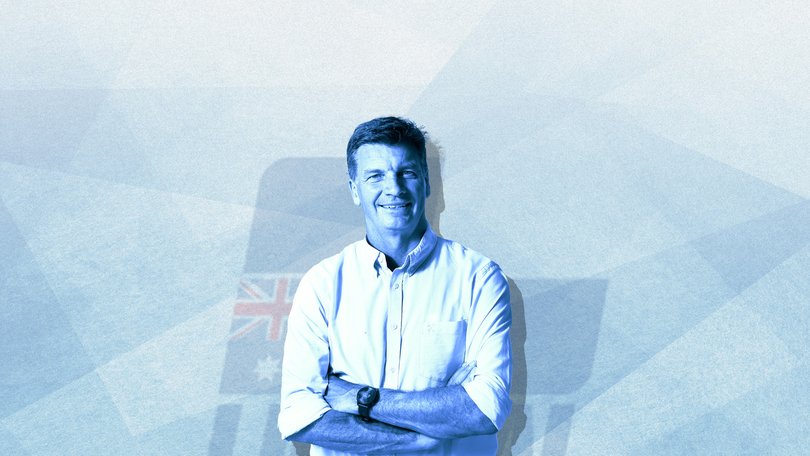 Immediately after Angus Taylor took the Liberal leadership, the pile-on began