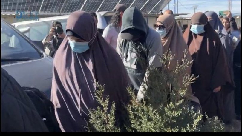 The Government could use temporary exclusion orders to block the return of the ISIS brides to Australia