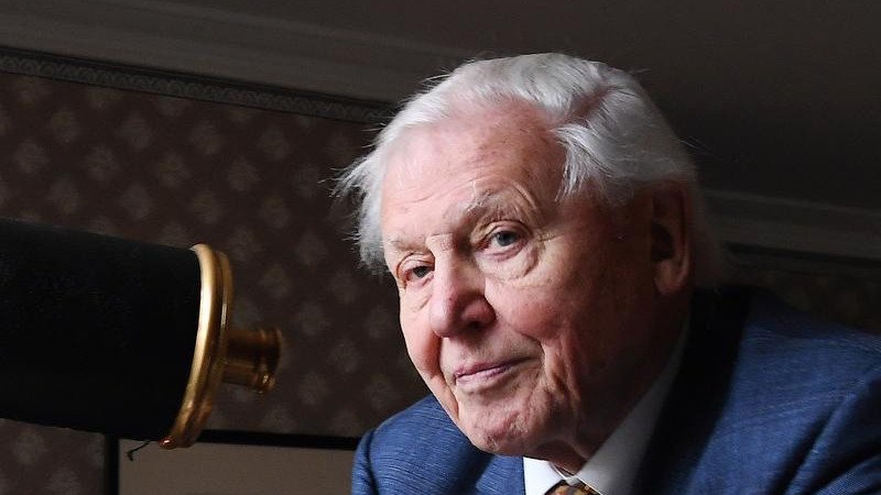 Sir David Attenborough's 100th birthday will be marked with a week of TV specials. 