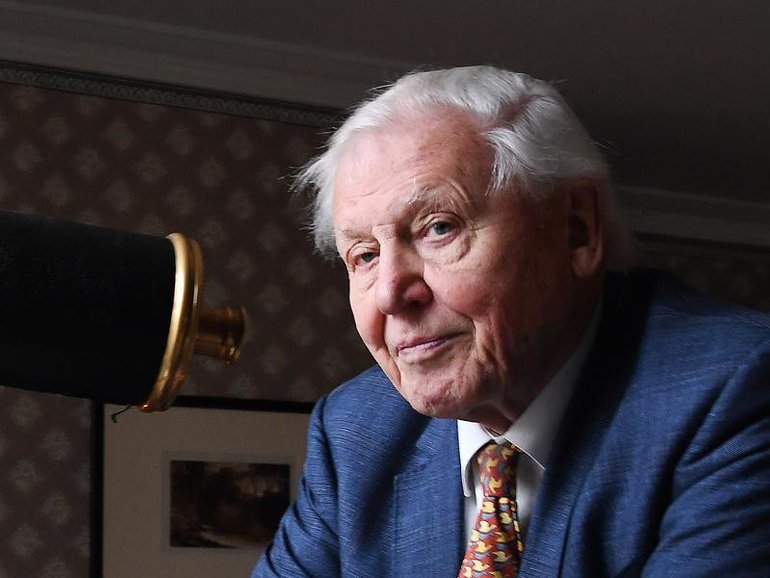 Sir David Attenborough's 100th birthday will be marked with a week of TV specials. 