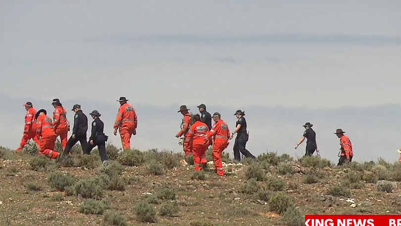 An army of searchers have been engaged to try and locate Gus Lamont.