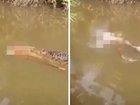 Horrifying footage shows the moment a crocodile surfaced with the body of a mother inside its jaws.