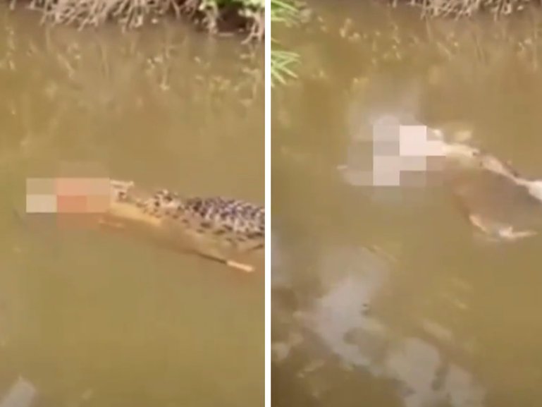 Horrifying footage shows the moment a crocodile surfaced with the body of a mother inside its jaws.