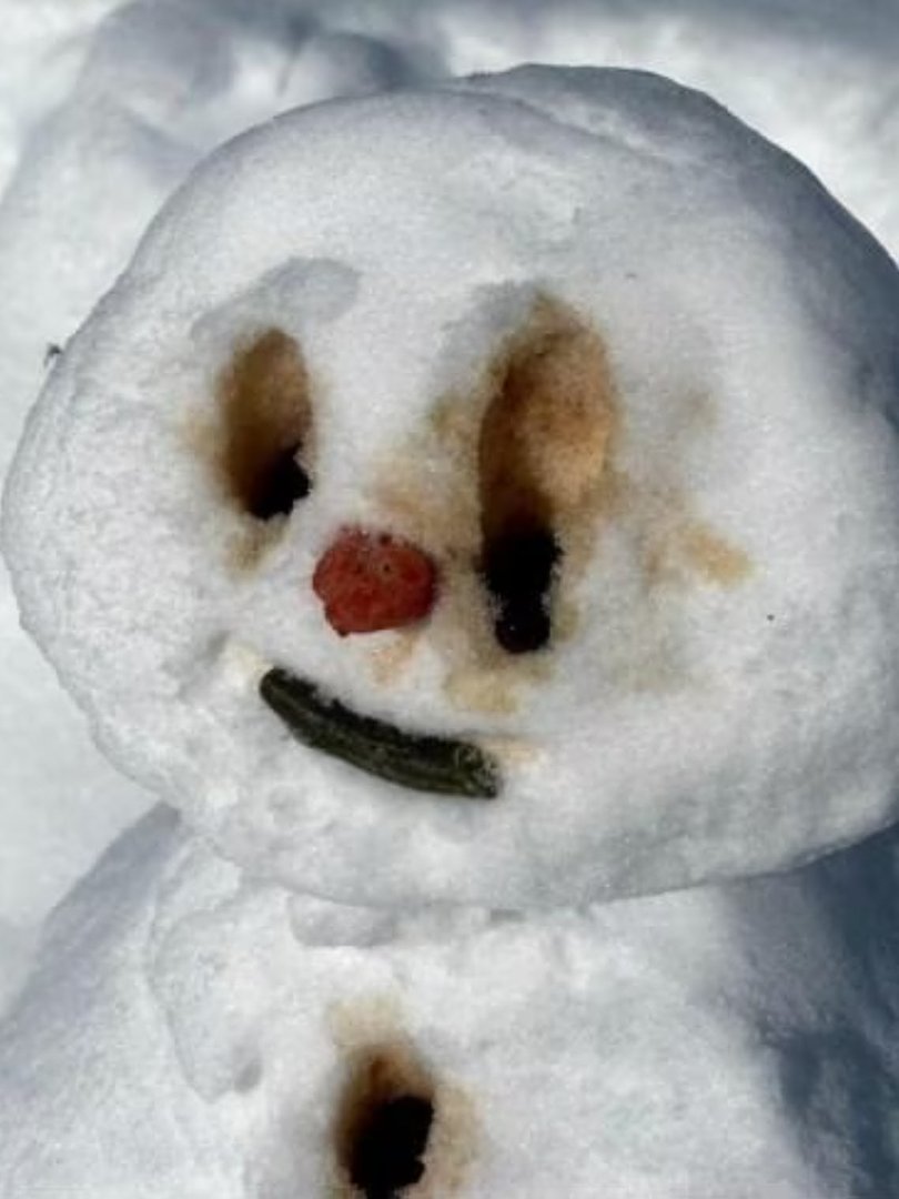 An email thread shared internally to ABC staff mocking Nine's Danika Mason.