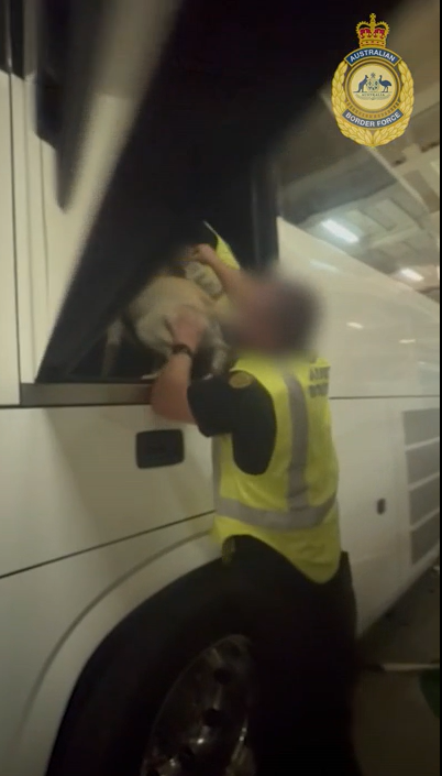 The RORO vessel was berthed at Outer Harbor when it was intercepted.