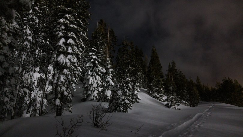 A trail to Castle Peak in the Lake Tahoe region on Wednesday, Feb. 18, 2026.  At least eight backcountry skiers died this week in an avalanche in the Castle Peak area. (Max Whittaker/The New York Times)