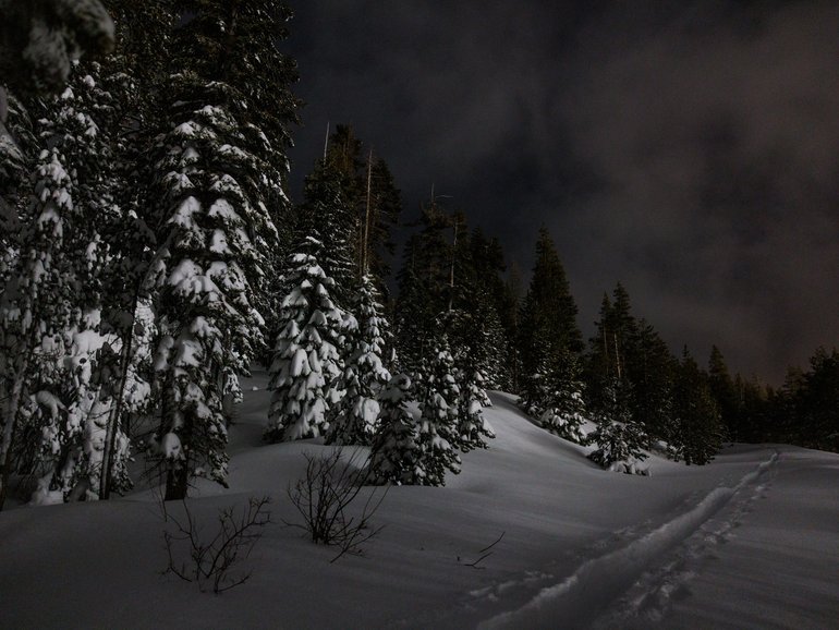 A trail to Castle Peak in the Lake Tahoe region on Wednesday, Feb. 18, 2026.  At least eight backcountry skiers died this week in an avalanche in the Castle Peak area. (Max Whittaker/The New York Times)
