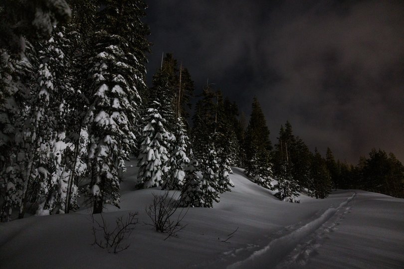 A trail to Castle Peak in the Lake Tahoe region on Wednesday, Feb. 18, 2026. 
