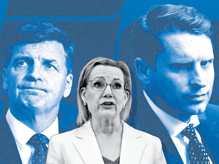 A high-level lobbying campaign is underway to convince the former Liberal leader to stay in parliament temporarily and avoid the likely loss of her seat in southern NSW.