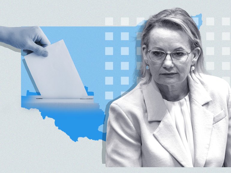 A high-level lobbying campaign is underway to convince the former Liberal leader to stay in parliament temporarily and avoid the likely loss of her seat in southern NSW. 