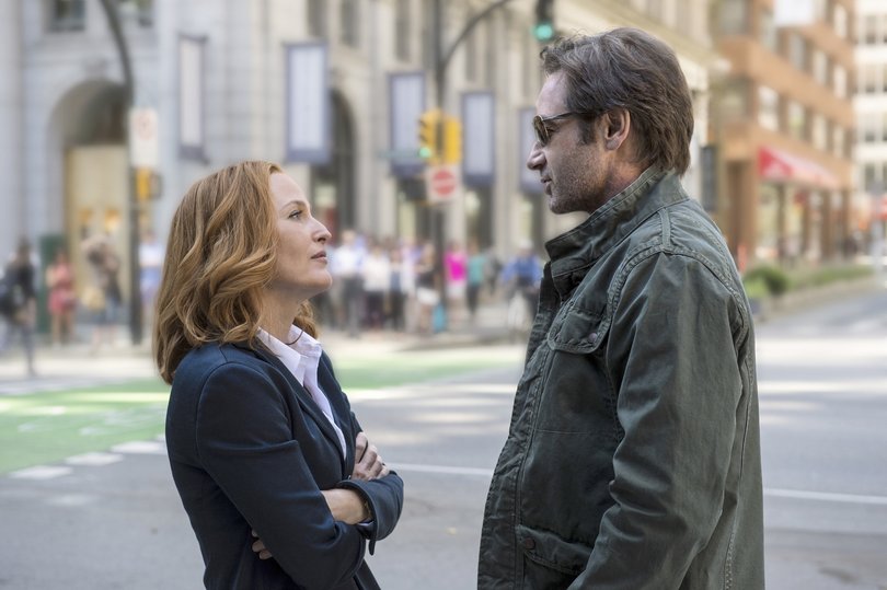 Gillian Anderson and David Duchovny reprised their roles in a two-season revival run in 2016 and 2018.