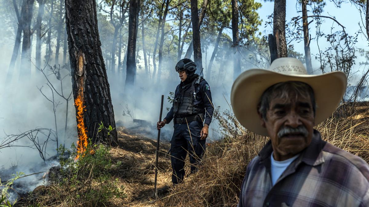 THE NEW YORK TIMES: After six decades of the war on drugs, what works? THE NEW YORK TIMES: After six decades of the war on drugs, what works?