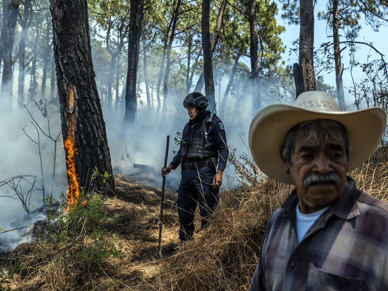 Drug lords have been killed and cartels have splintered only to see more violent ones replace them and the illicit trade expand. So, in nearly 60 years of the war on drugs, what has actually worked?