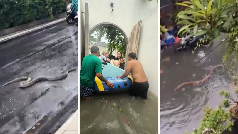 Flash flooding in popular Bali hot spots has resulted in mass evacuations, as streets are turned into rivers and snakes roam free.