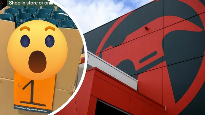 Bunnings Warehouse has delighted customers following the shock announcement that a viral $1 sell-out favourite is back on shelves.