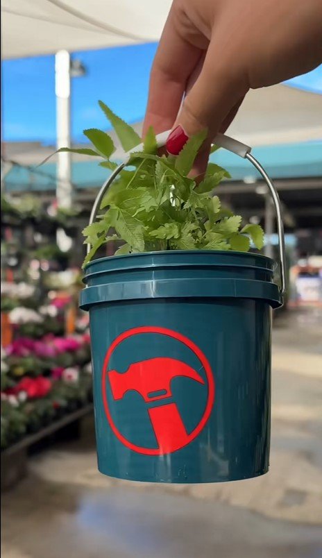 Bunnings Warehouse has delighted customers following the shock announcement that a viral $1 sell-out favourite is back on shelves.